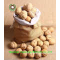Nutritive Walnut Kernels Light Pieces (LP)